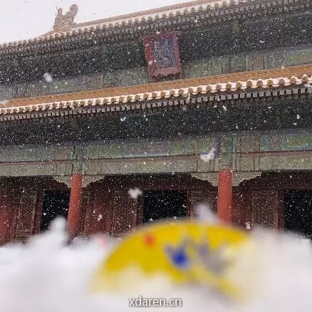 翔凤