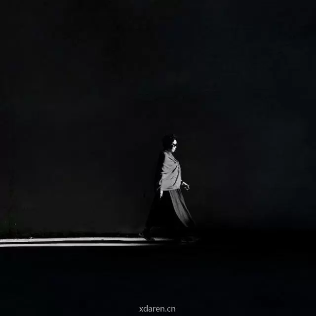 认知演化论