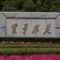 天勇谈经济