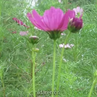 璞琳说法