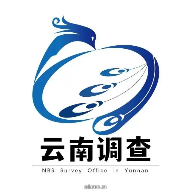 云南调查