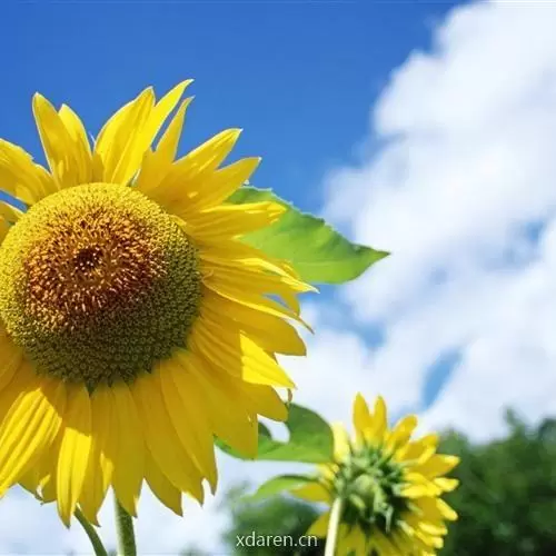 我的购物指南