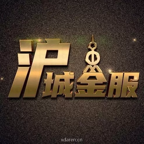 沪城金服