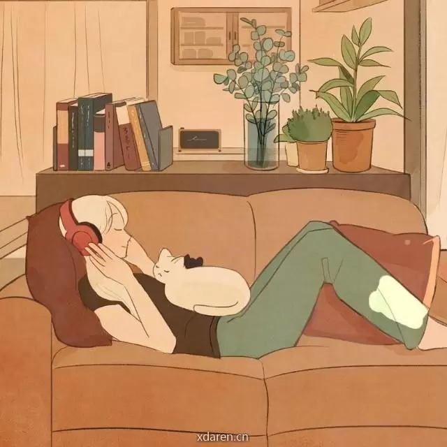 猫姐在成长