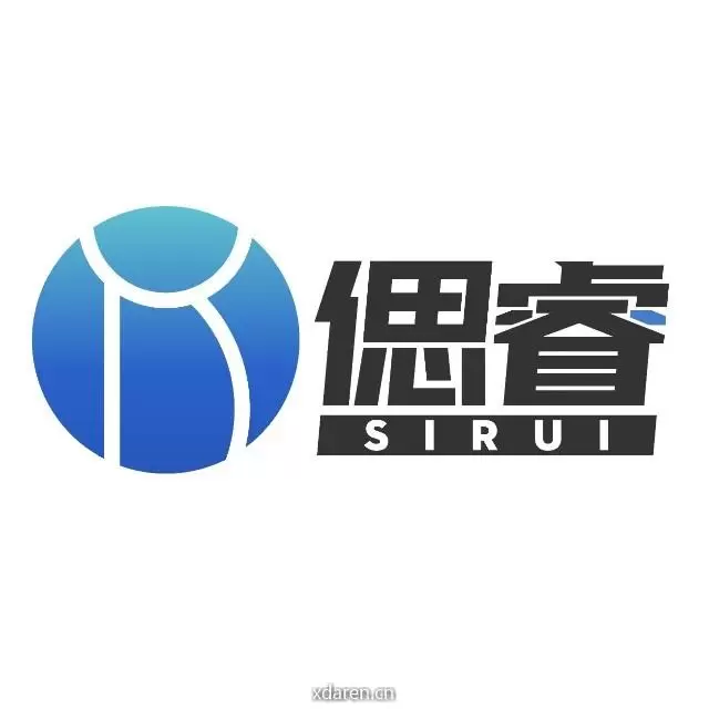 偲睿洞察