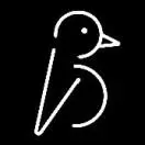 birdie戏剧留学