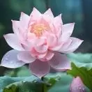 静静说星座