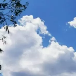 青浅絮语