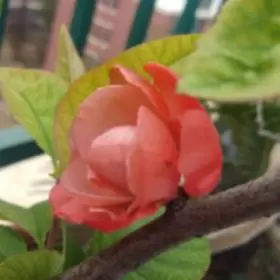 莹窗散记