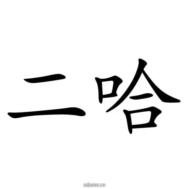 二哈自由记