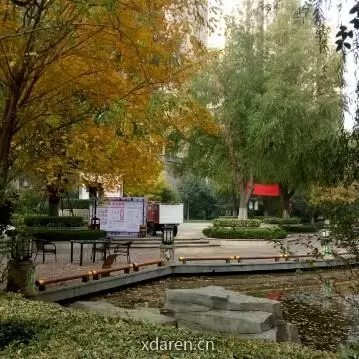 寻找浪漫的风