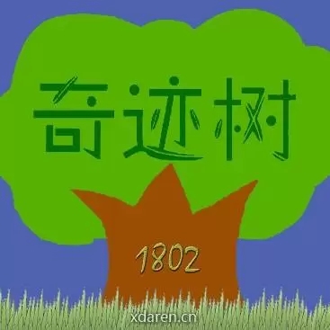 奇迹树班的故事