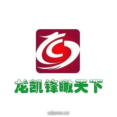 龙凯锋评论