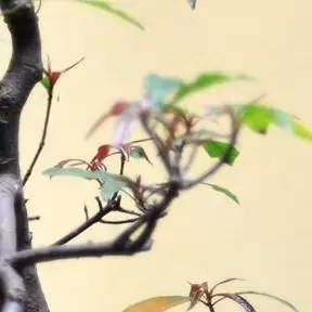 时光我不语