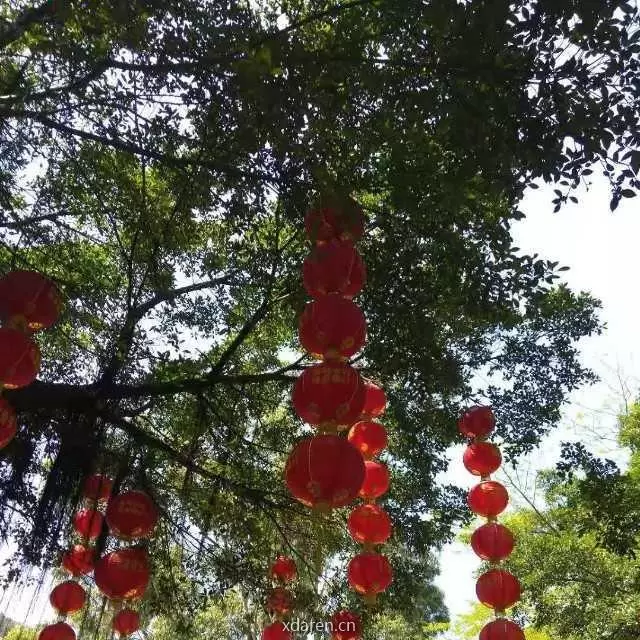 春语故事汇
