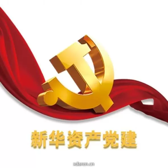 新华资产党建