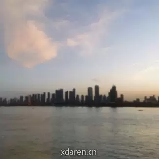 碳市研究