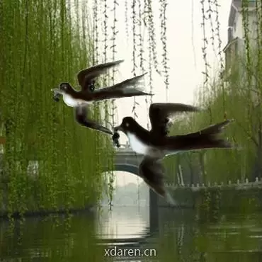 燕之春语