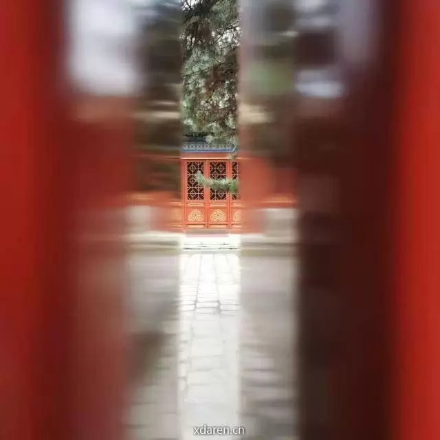 青兰美港观察