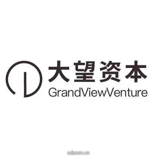 大望资本