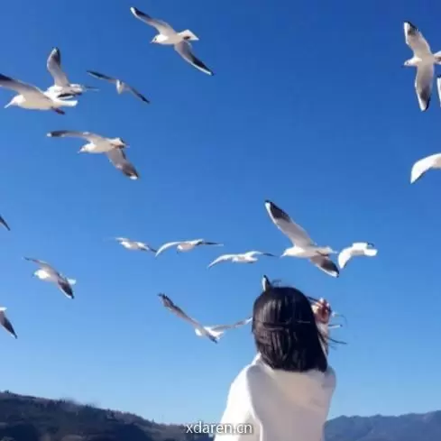 原来是柒公子