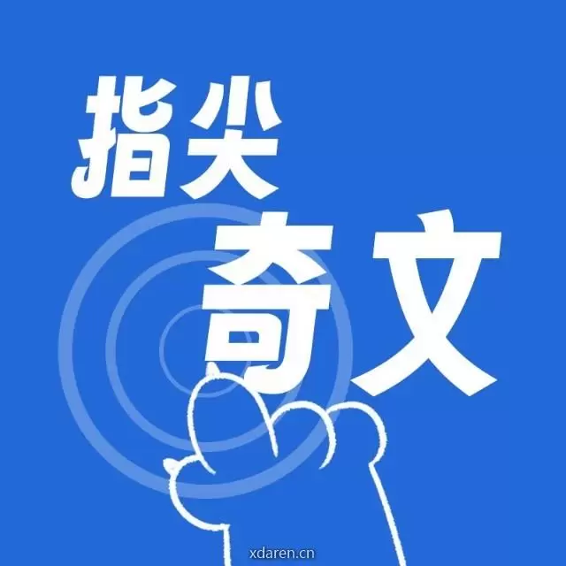指尖奇文