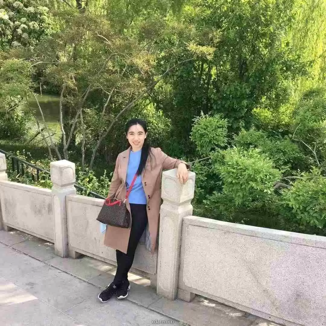 抚琴独吟