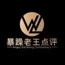 暴躁老王点评