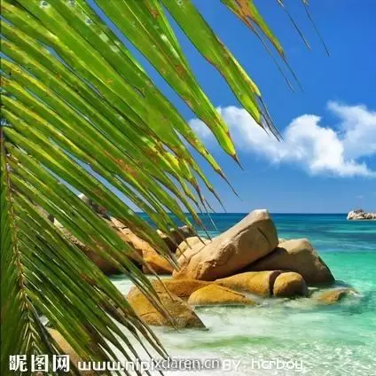 IT风云说