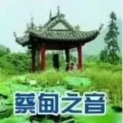 蔡甸之音