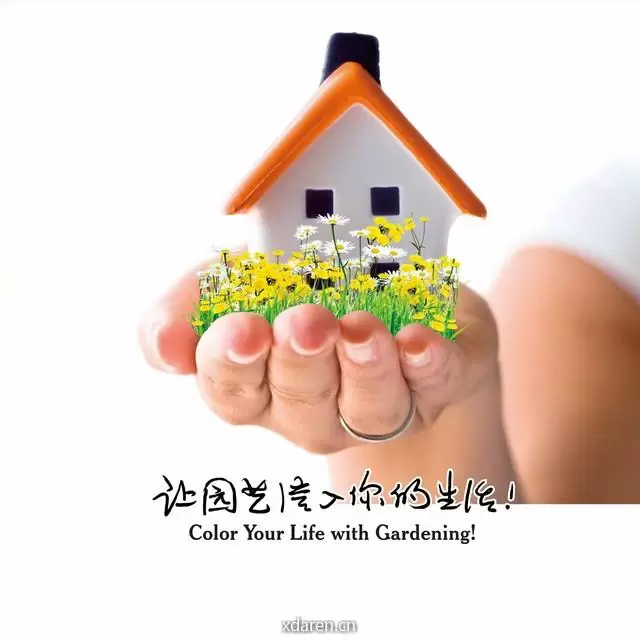 花彩优选