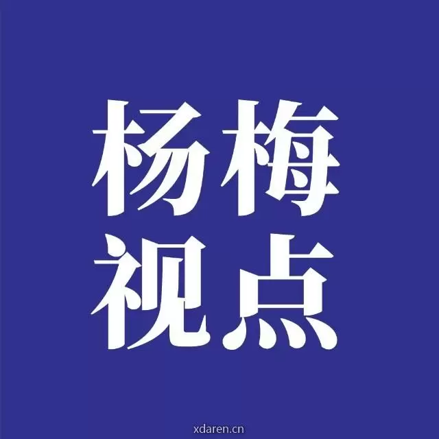 杨梅视点