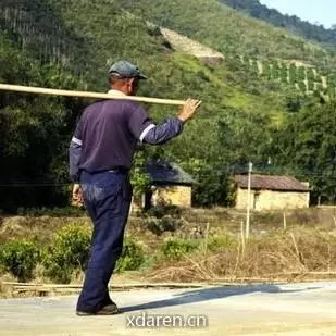 村口信息事