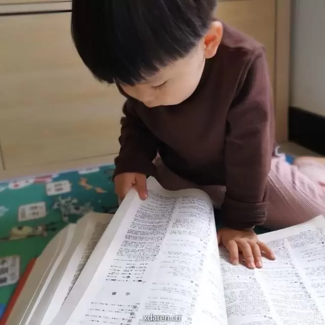 帝都小五妈