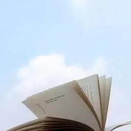 哏都地产人