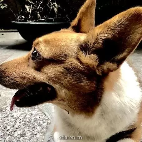Mr童先生