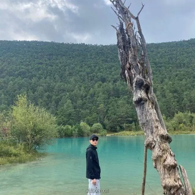 鹿衔花
