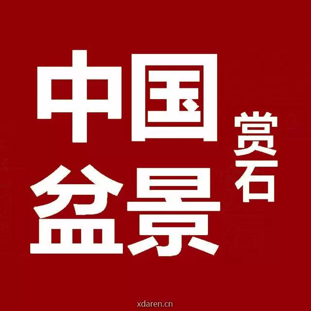 中国盆景赏石