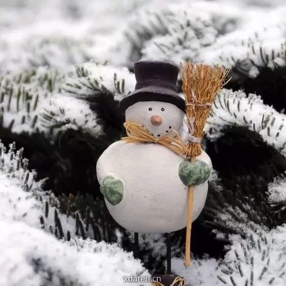 冬天的雪珐