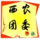 西农团委