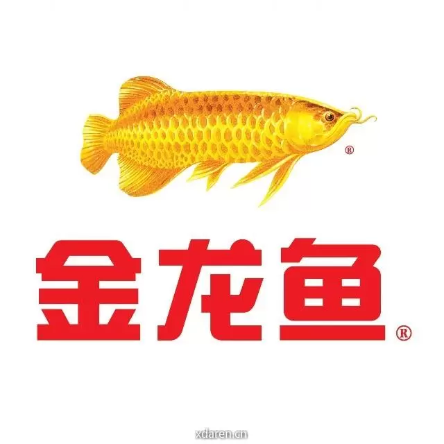 金龙鱼知食青年