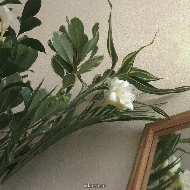新雅悦文