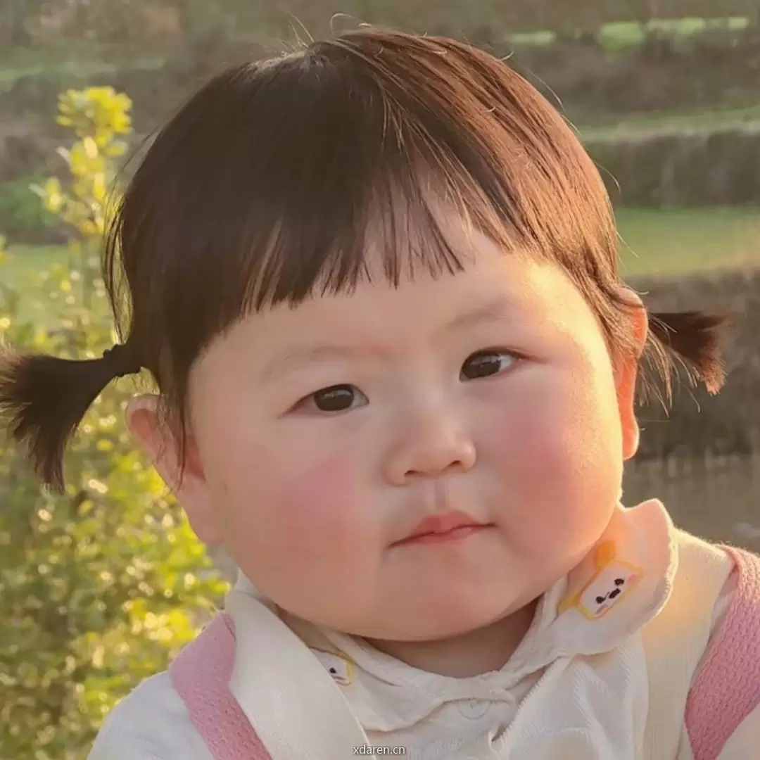 欢乐表情库