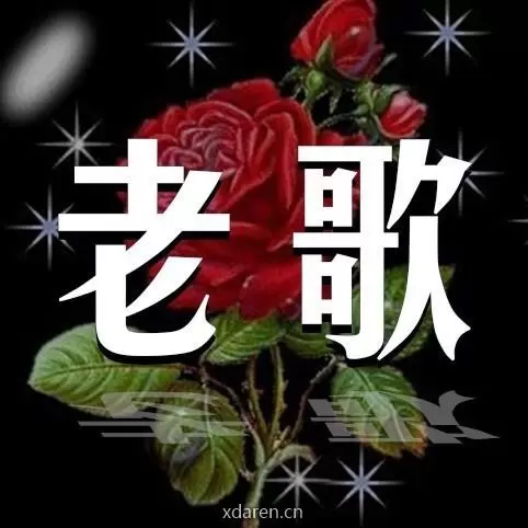 经典好歌相送