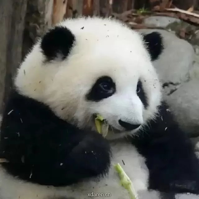 小壹有话说