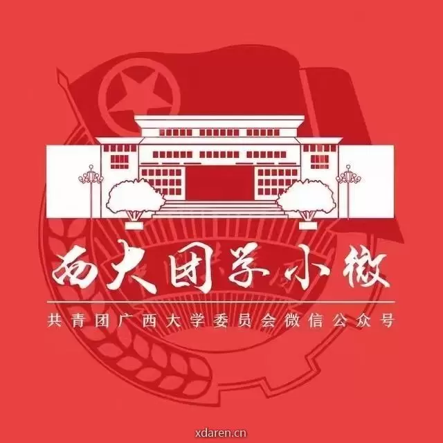 西大团学小微
