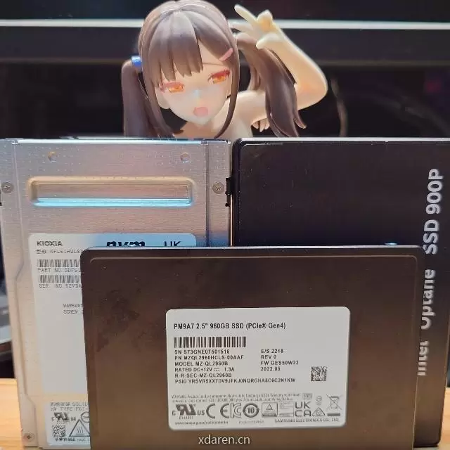 HOMOLAB 存储狂热