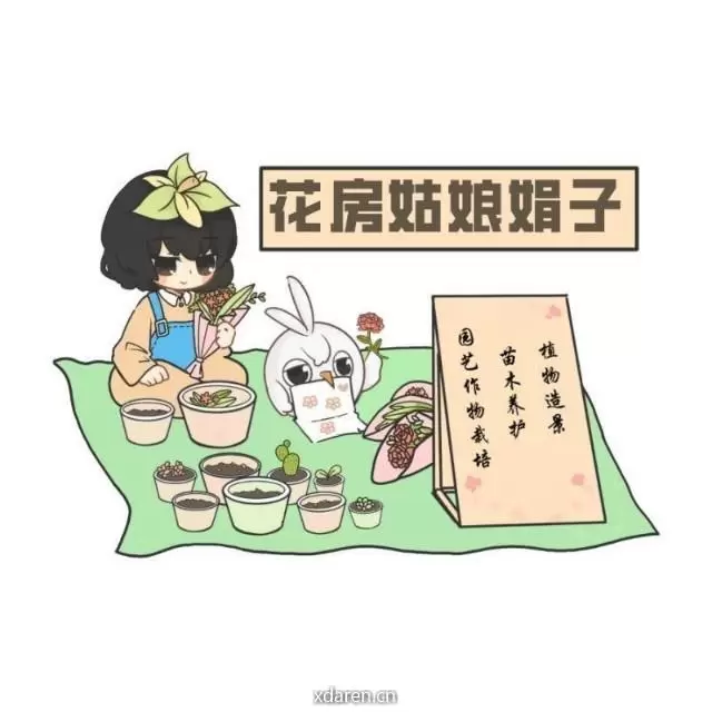 娟子的花房