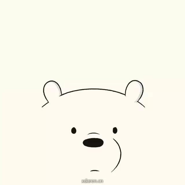 小熊座的20年