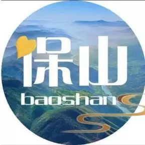 聚保山